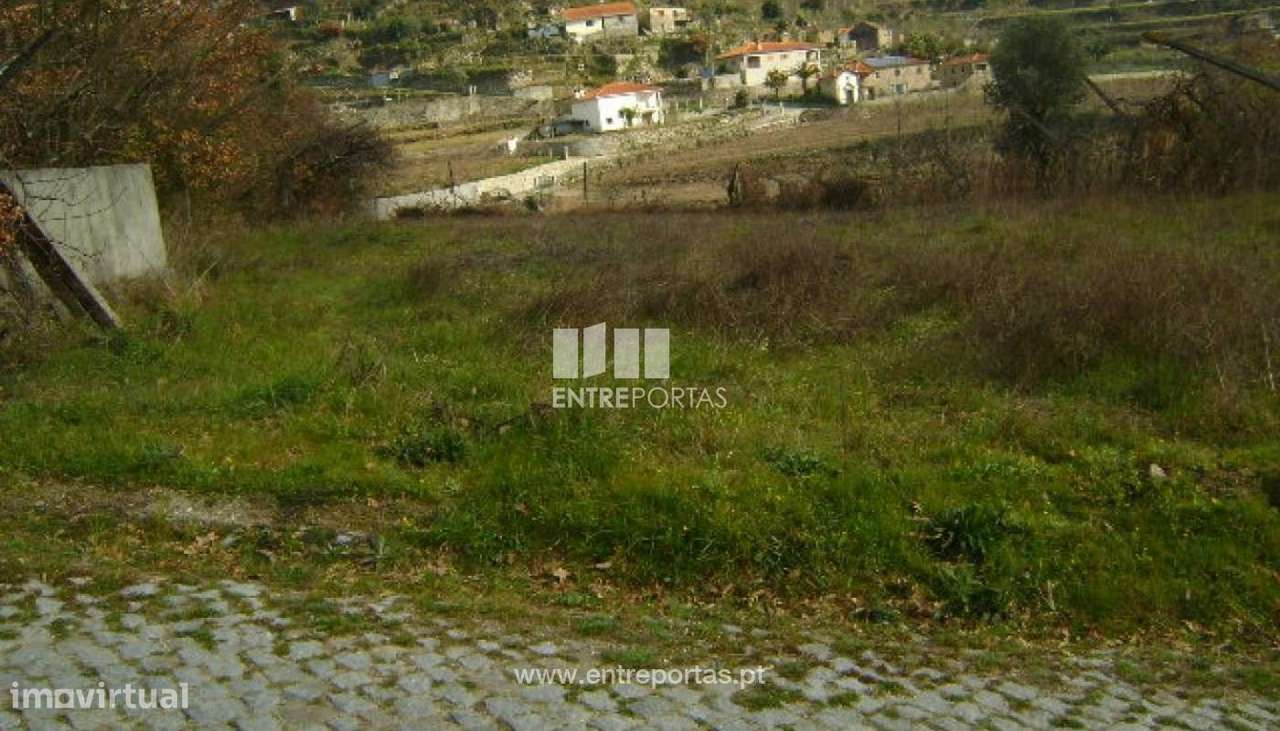 Venda Terreno, Santa Leocádia, Baião - Grande imagem: 5/7