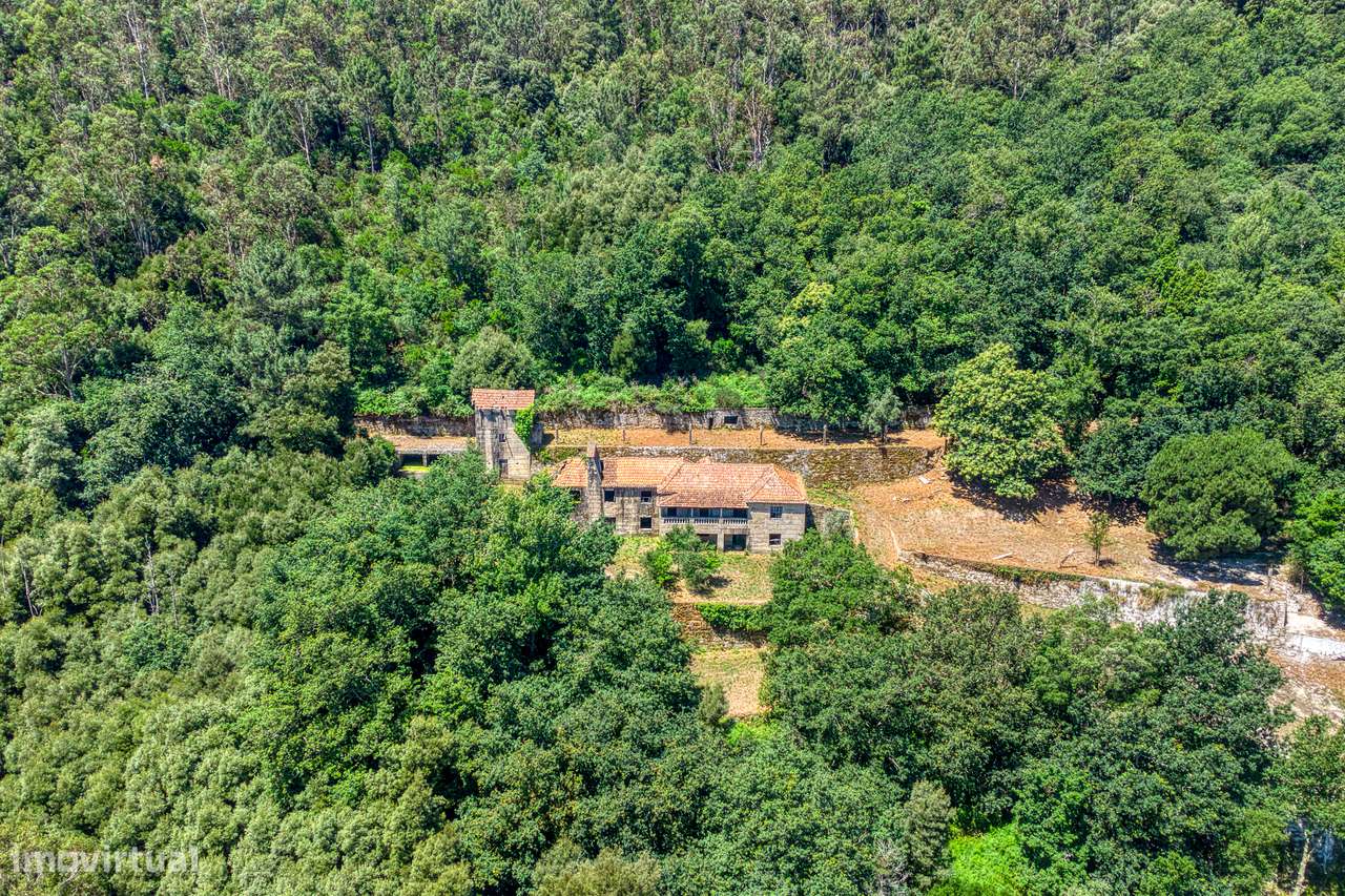 QUINTA NO VALE DO DOURO - 2 CASAS EM PEDRA, 11 HECTARES DE TERRENO-23