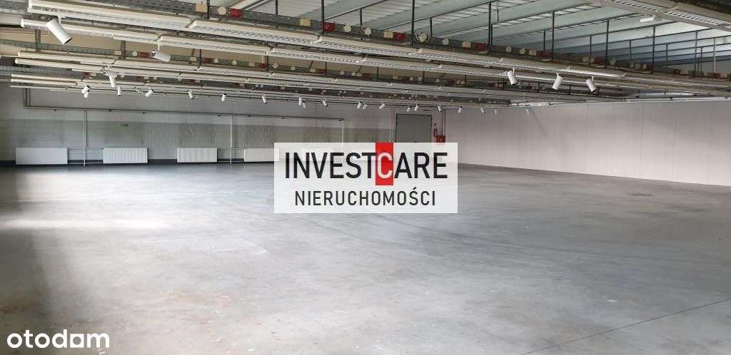 Magazyn. Posadzka bezpyłowa. - Pełny obrazek: 4/8