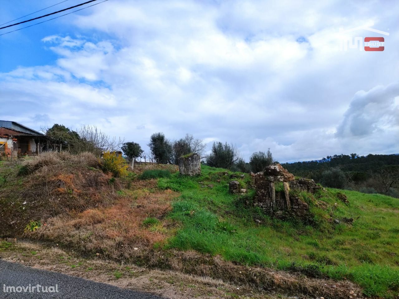 Terreno agricola, com olival, figueiras e vinha. Viabilidade de con...