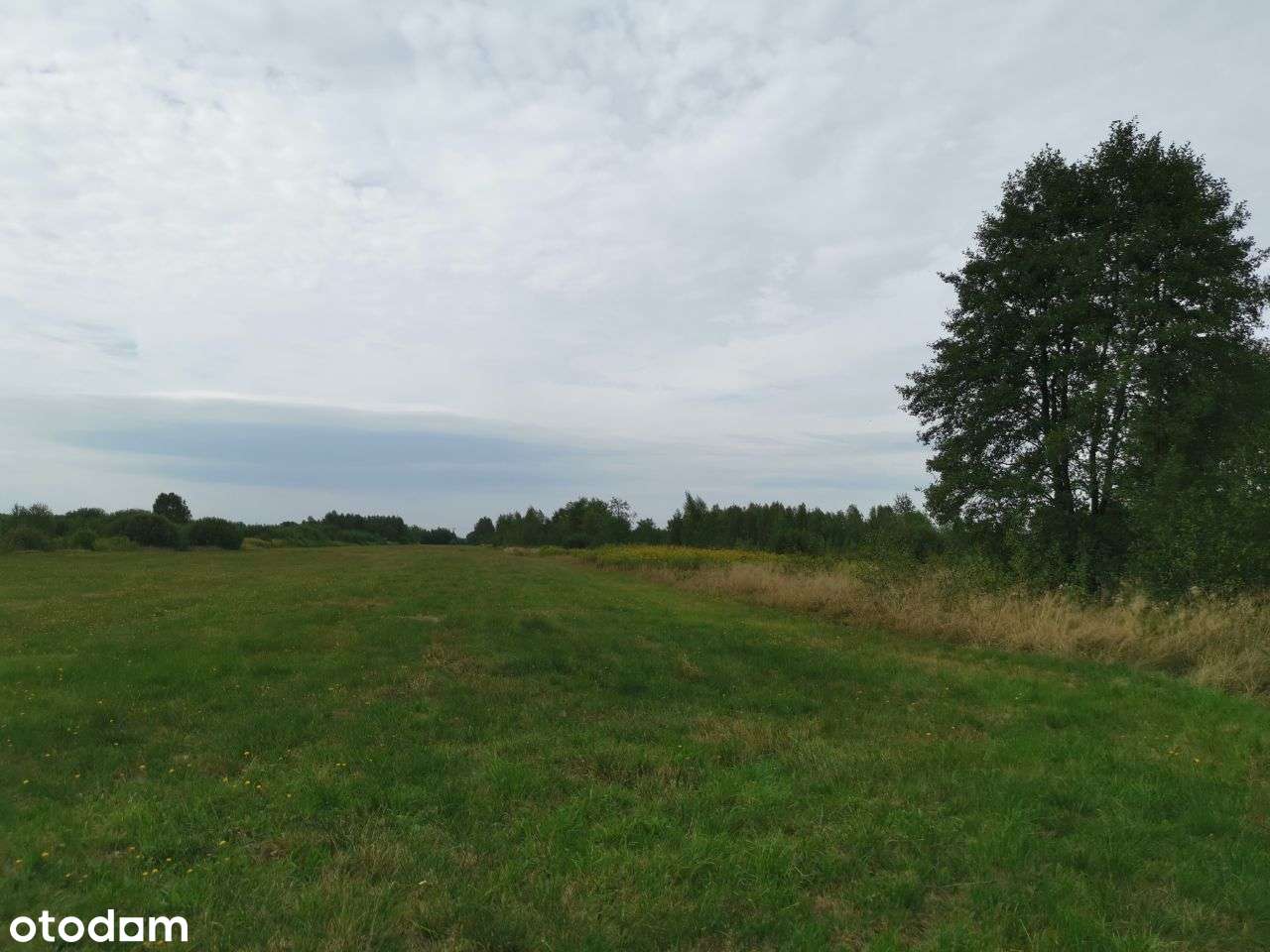 Bezpośrednio rolna znakomita lokata kapitału Sowia Wola - Pełny obrazek: 4/8