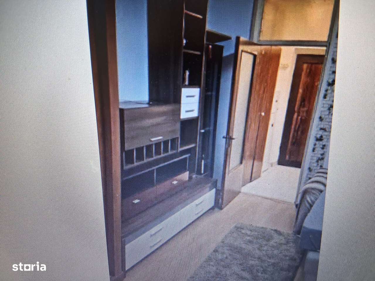 garsoniera teiul doamnei - Imagine principală: 1/7