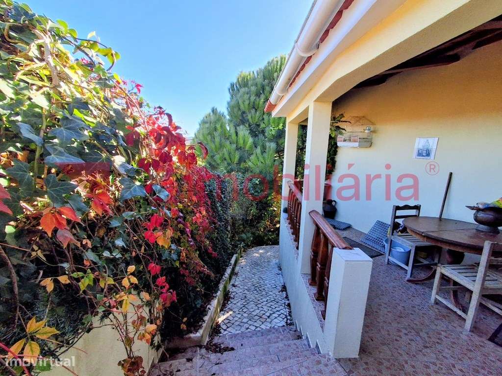 Moradia Rustica inserida numa Magnifica Paisagem Vinícola-31