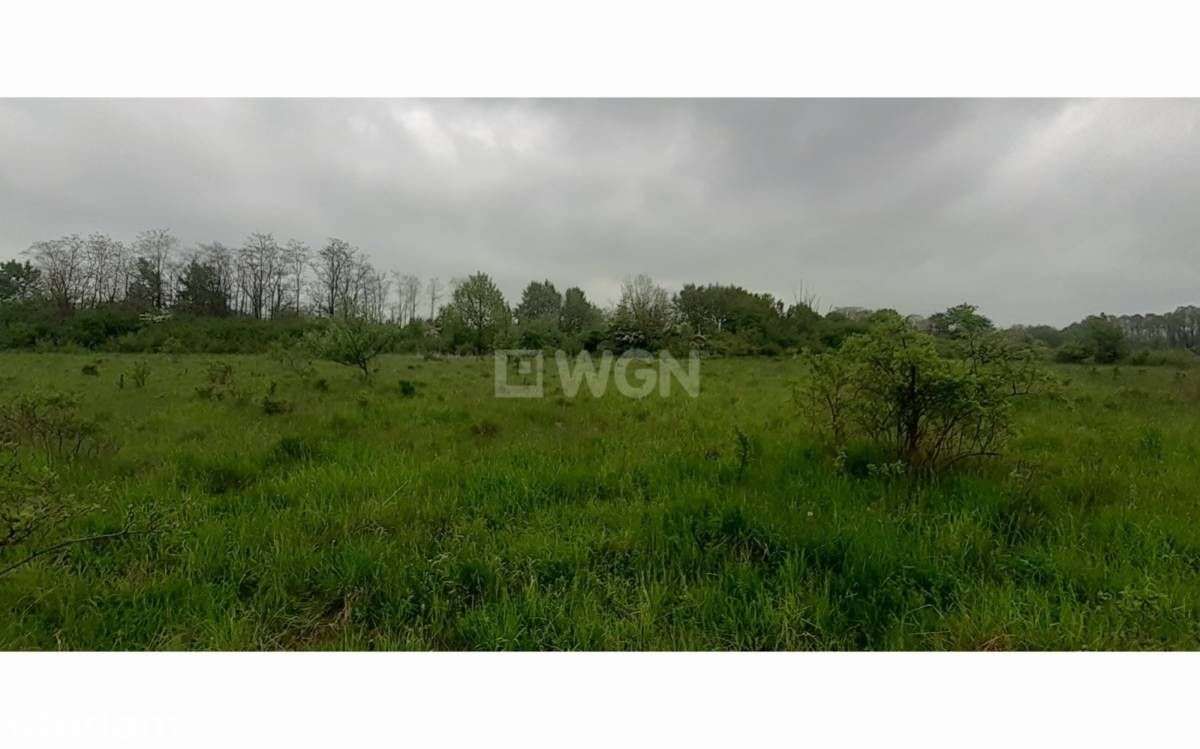 Działka, 55 000 m², Koziegłówki - Pełny obrazek: 5/15