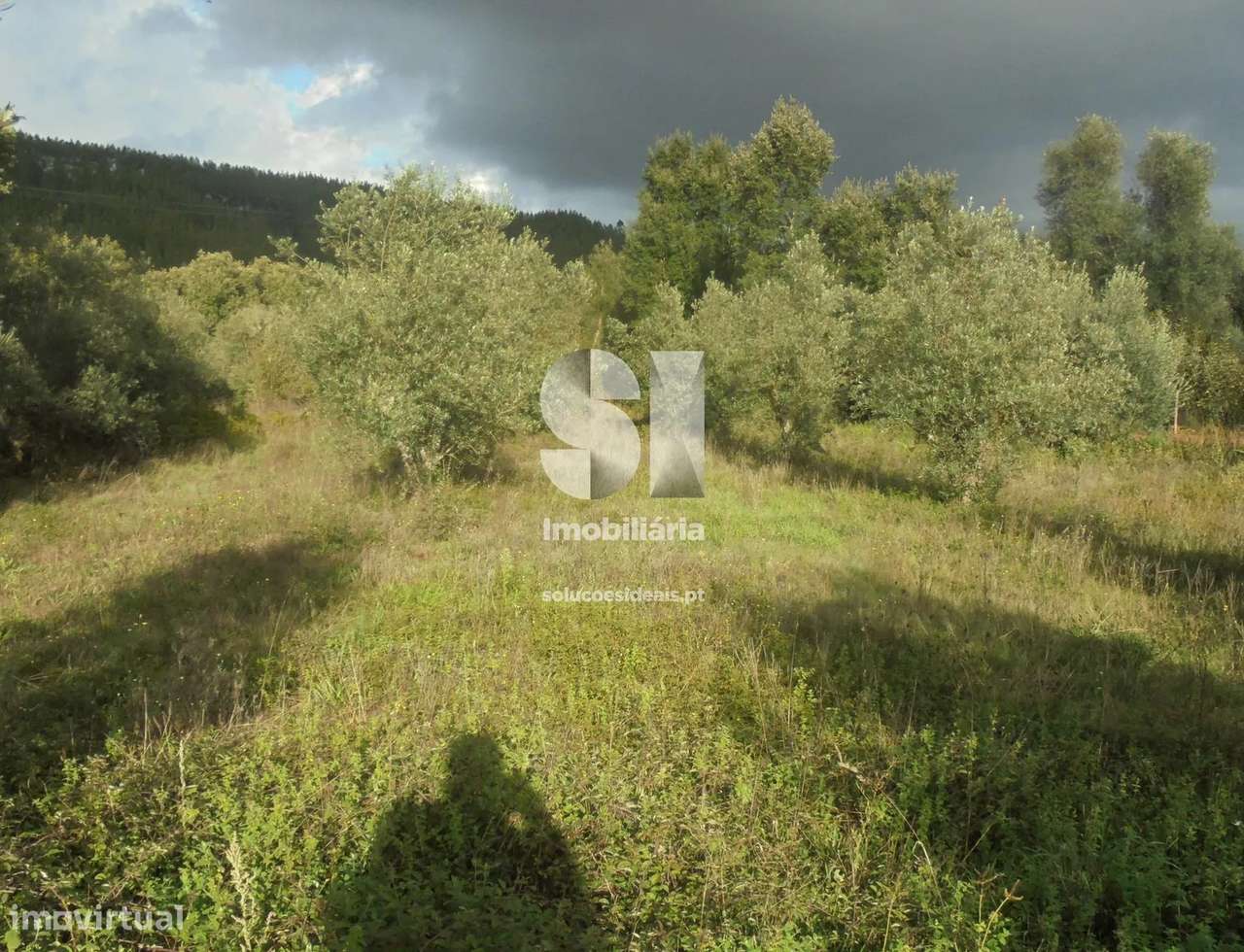 Terreno em Lousã - Grande imagem: 4/7