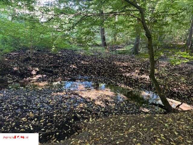 Siestrzeń, 10 000m,do podziału na 6 działek,z Mpzp-8