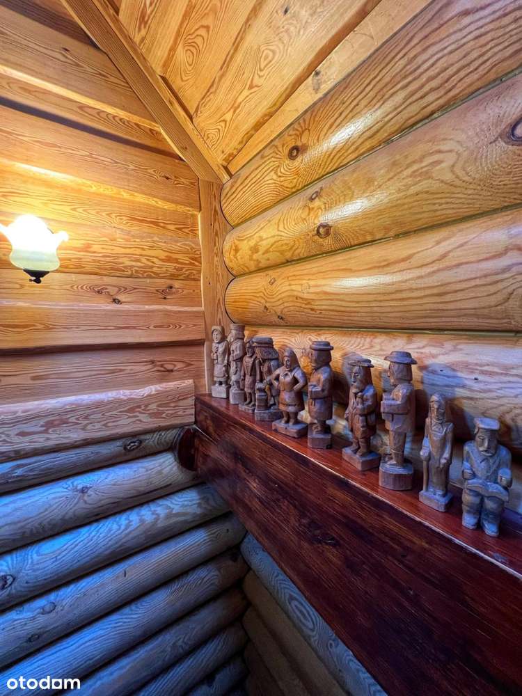 Posiadłość z bala, stawy, prywatny las!Jeziorak-17