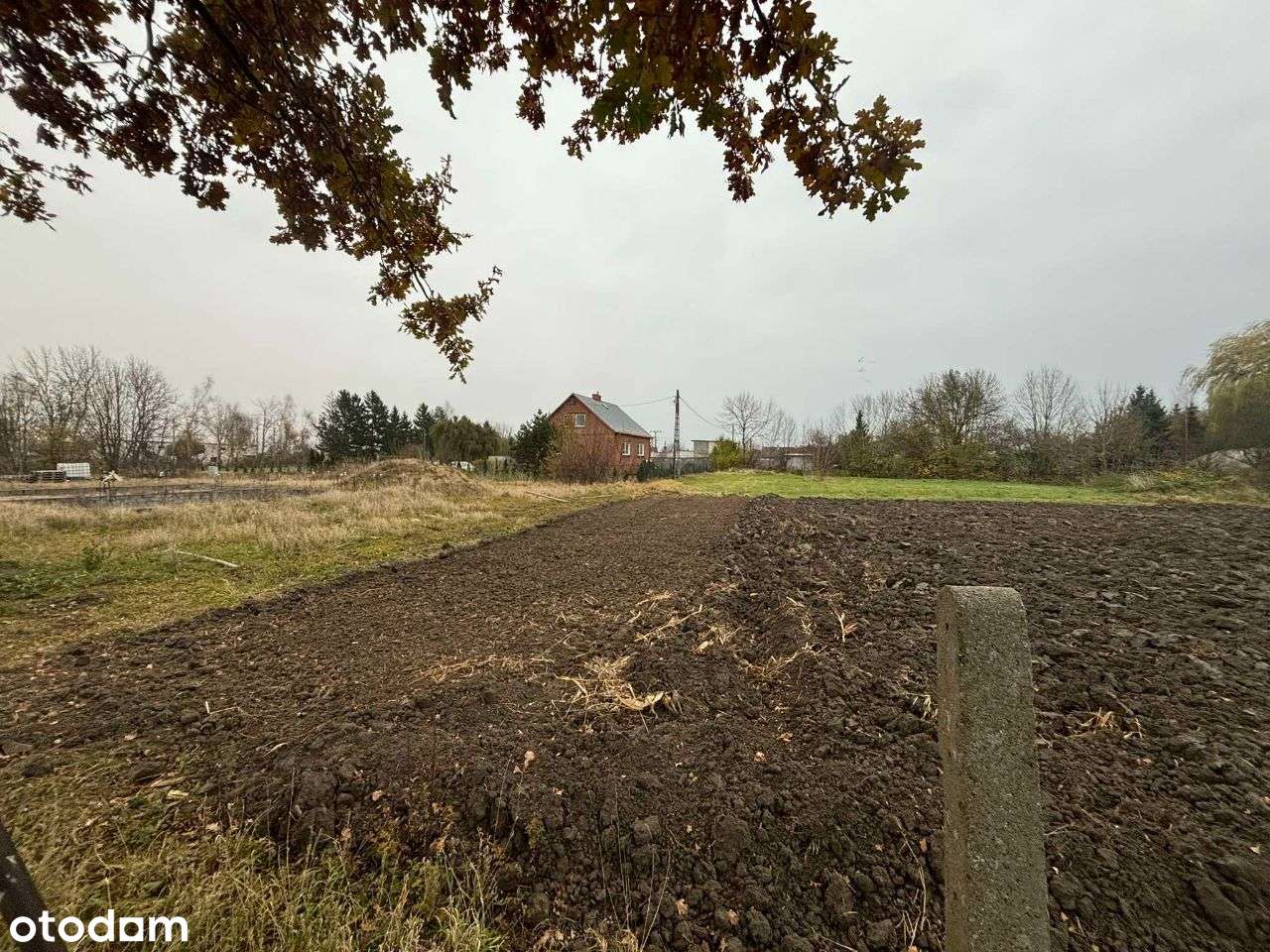 Działka z Warunkami zabudowy - Pełny obrazek: 5/8