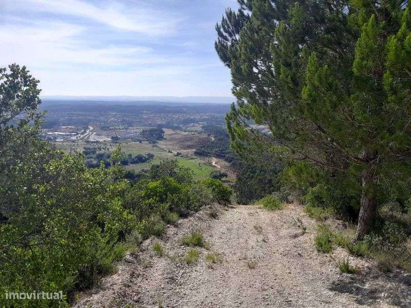 Quinta Urbano + Rústico - Tremês - Santarém 19,5ha - Grande imagem: 5/10