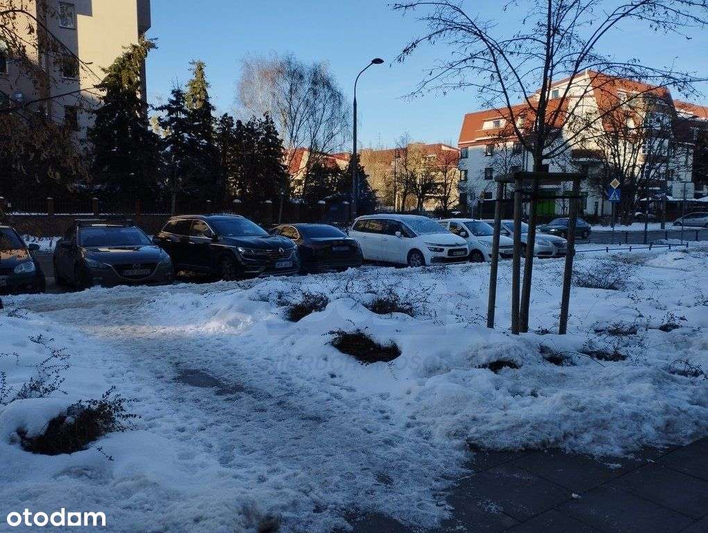 Rewelacyjny lokal handlowy witryny Mokotów-5