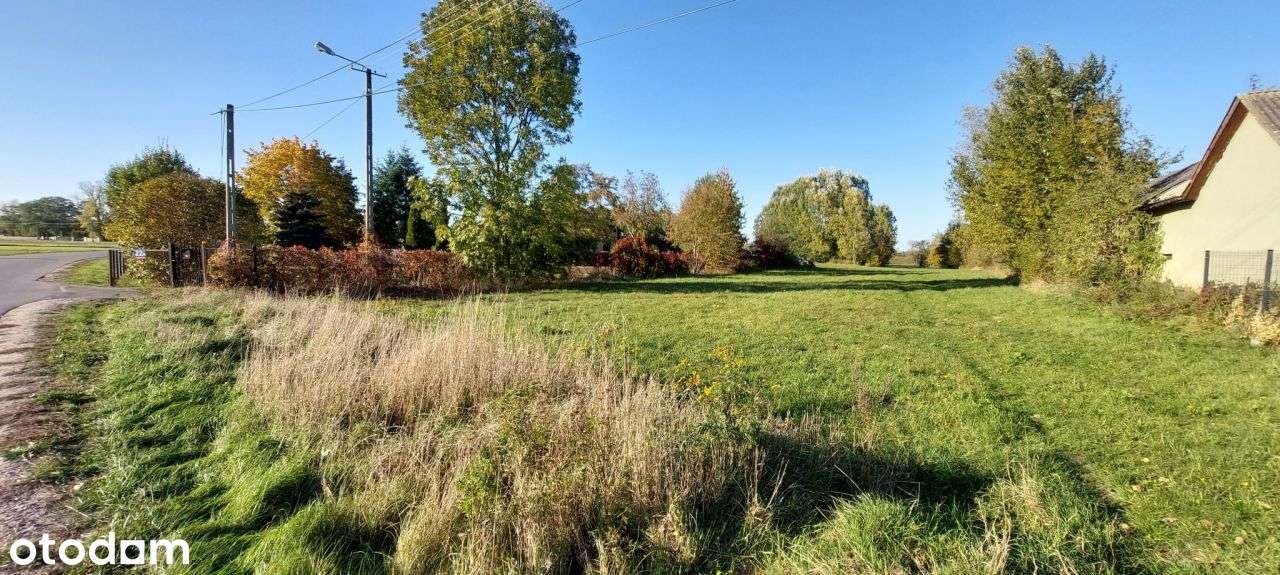 Urocza działka budowlano-rolna nad Wisłą - Pełny obrazek: 5/11