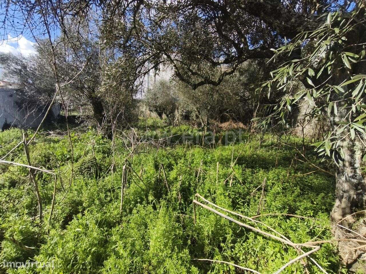 Terreno para Construção / Fundão, Souto da Casa - Grande imagem: 4/11