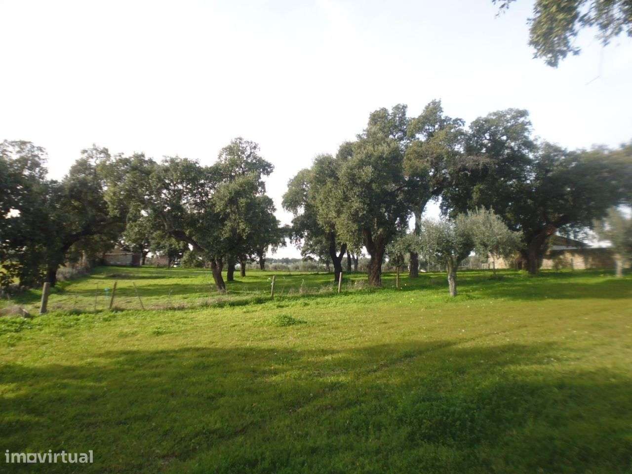 Quinta - Grande imagem: 3/8