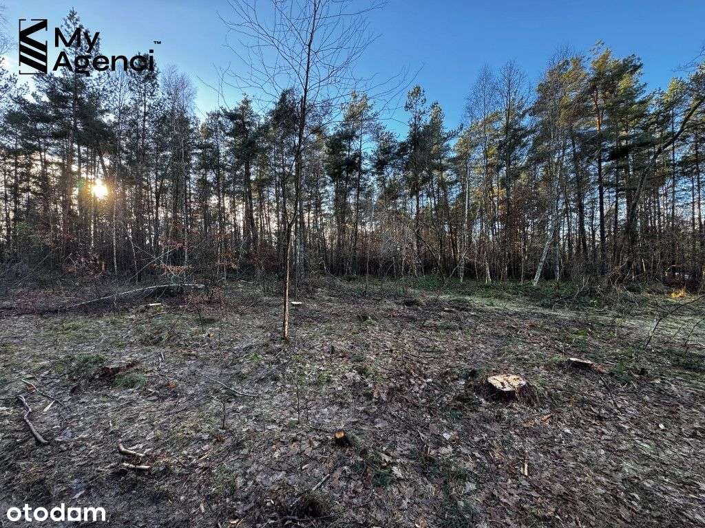 Lewino, ul. Lipowa - działki na sprzedaż-16