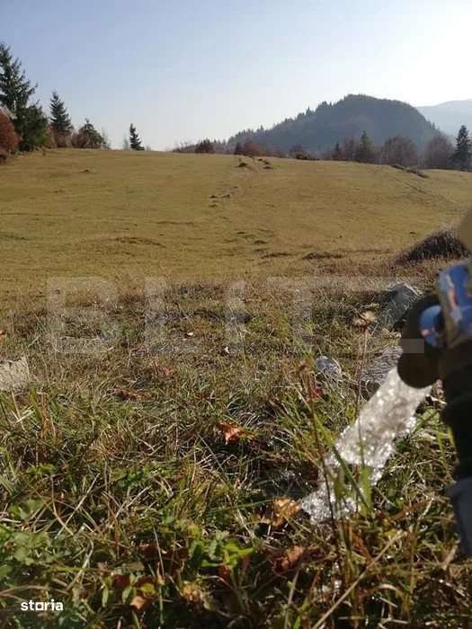 Teren de vanzare, Scarisoara,  ideal pentru cabana - Imagine principală: 4/4