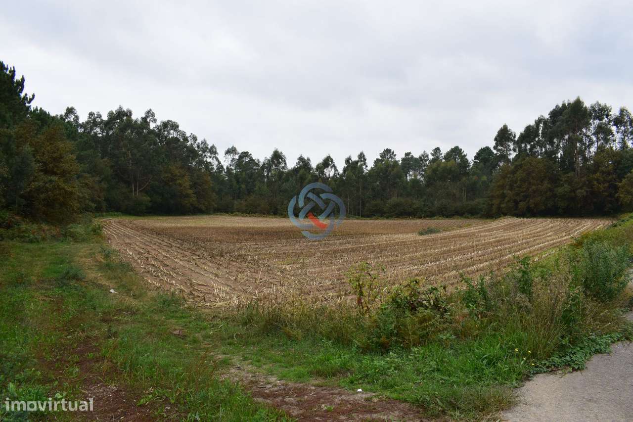TERRENO URBANO COM PIP aprovado para CONSTRUÇÃO DE 3 Edifícios em A - Grande imagem: 3/7