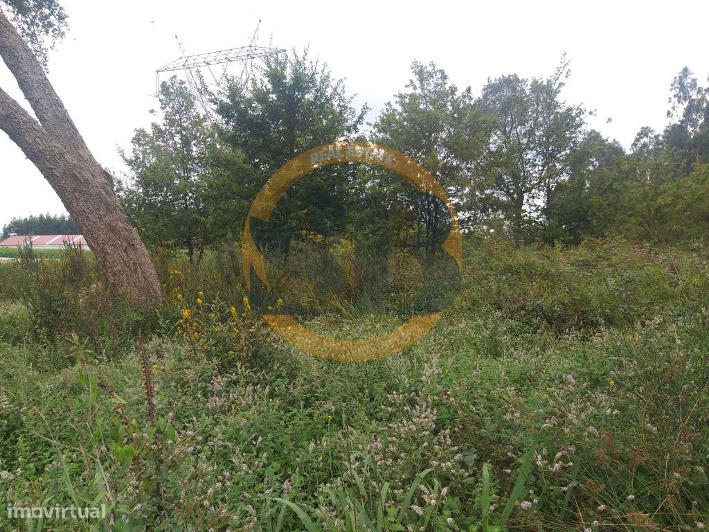 Terreno Industrial Palmaz - Grande imagem: 2/4