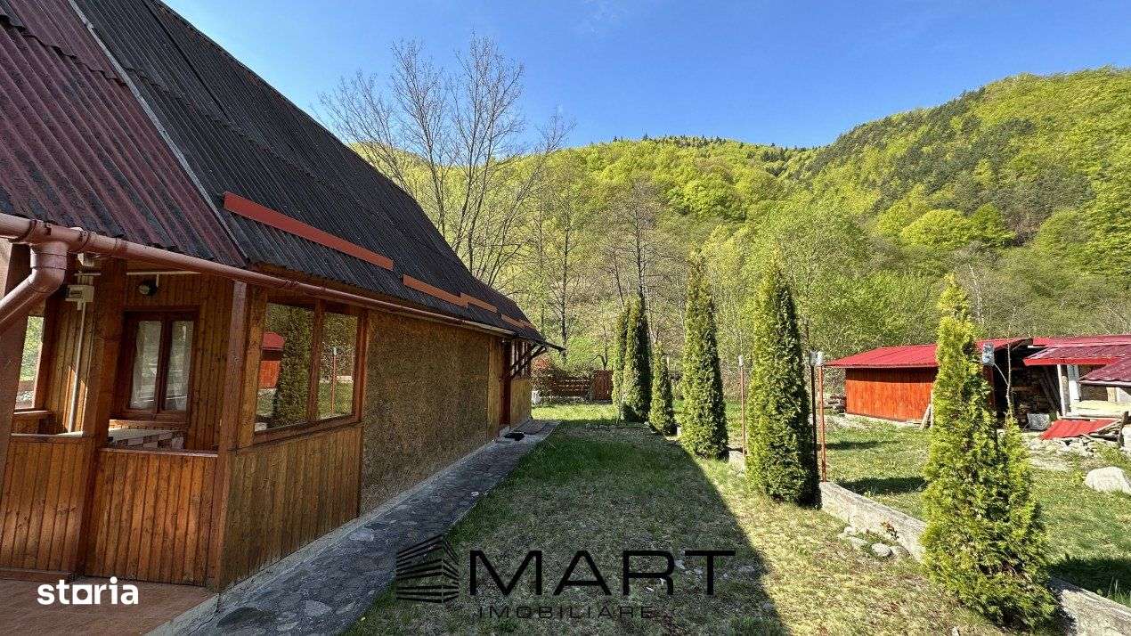 Casa cu teren langa rau Lotrioara - Imagine principală: 4/14