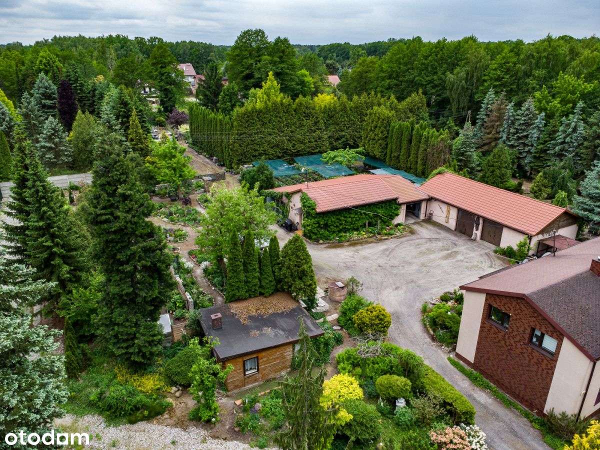 Działka inwestycyjna – Łódź, ul. Aleksandrowska - Pełny obrazek: 5/6