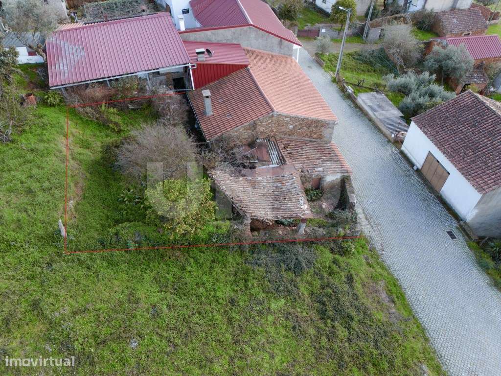 Moradia T3 com Logradouro - Grande imagem: 3/13