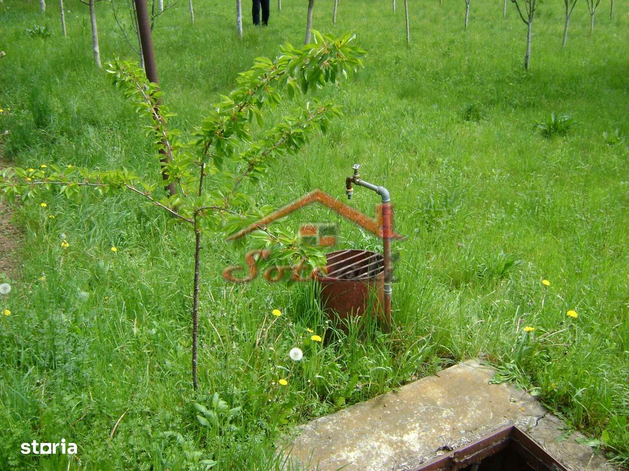 Teren de vanzare in Cornu 1183 mp-3