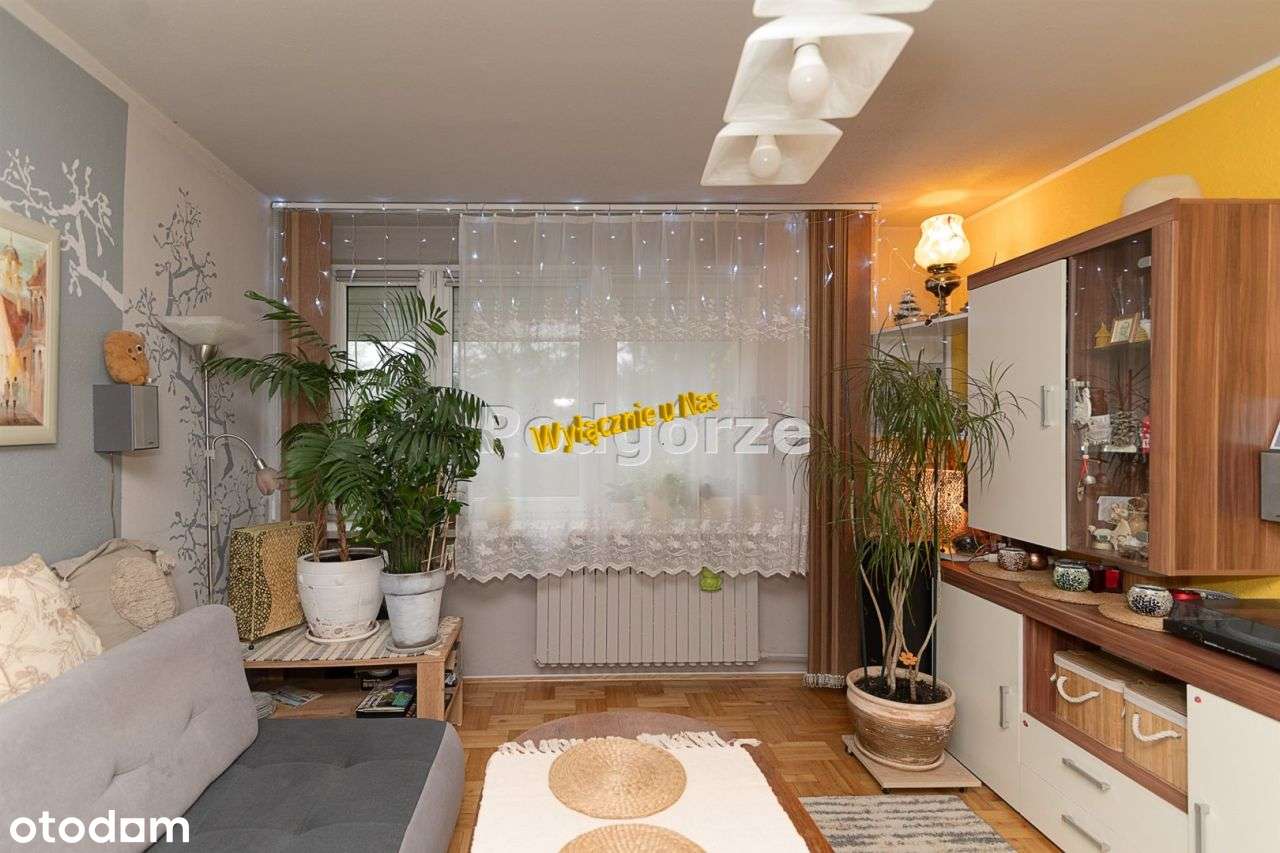 2/3 pokojowe, balkon-0