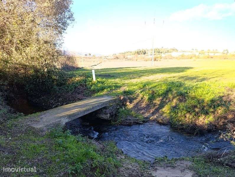 Quinta com Casa e 4 hectares, Belmonte - Grande imagem: 4/12