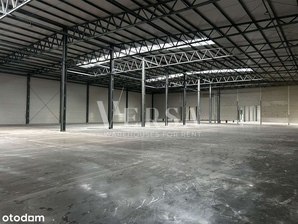 Wólka Kosowska 2500 mkw - 0% Prowizji - Pełny obrazek: 4/7