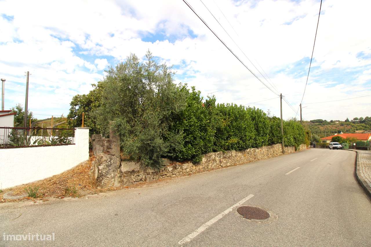 Quinta com 8.000 m² a apenas 10 km do centro de Viseu-41