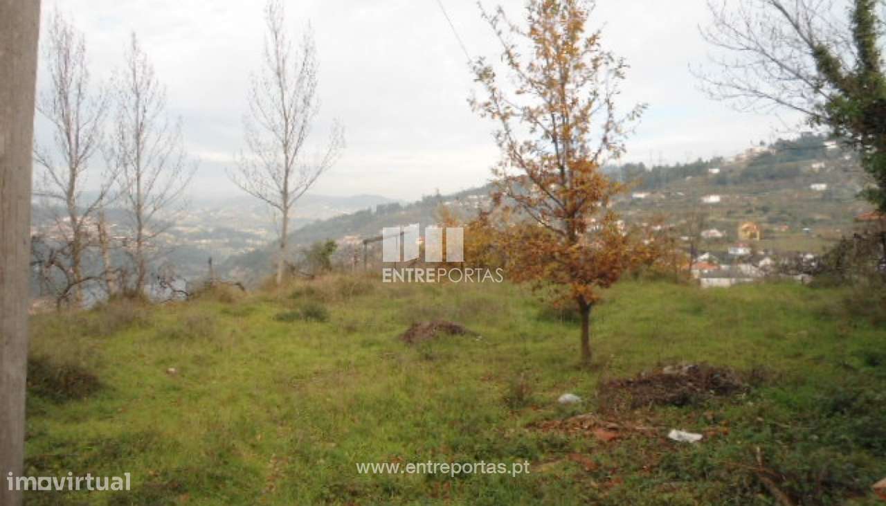 Venda Terreno,São Cristóvão de Nogueira, Cinfaes - Grande imagem: 2/30