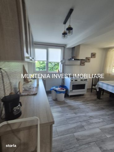 Casa Parter + etaj, teren 1310 mp. Labusesti(Bascov)-7