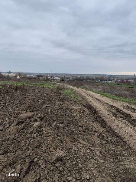 Teren cu utilitati Branistea - Imagine principală: 4/4