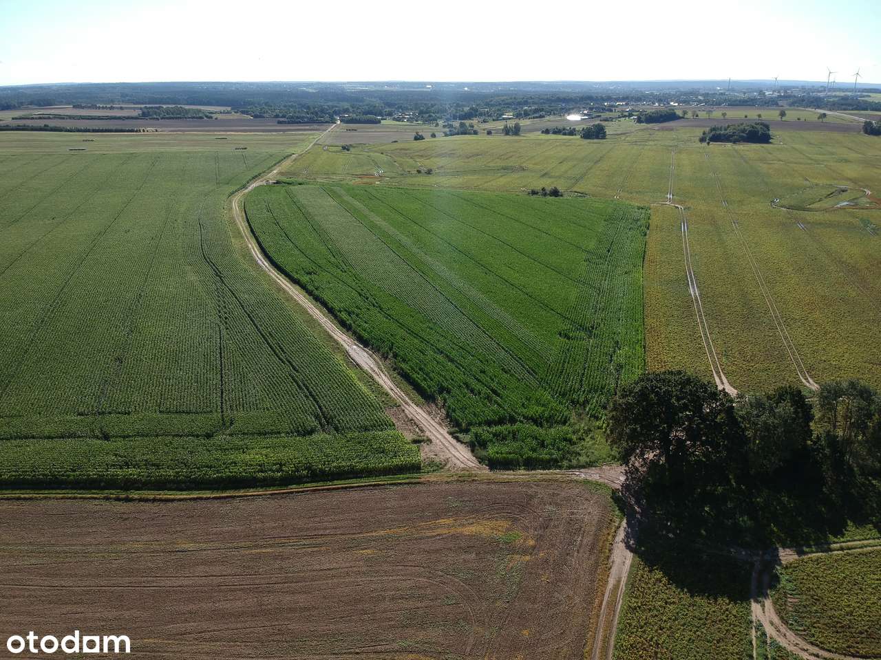 KOMPLEKS 50 DZIAŁEK BUDOWLANYCH – WŁYNKOWO  K. SŁUPSKA I USTKI - Pełny obrazek: 4/6