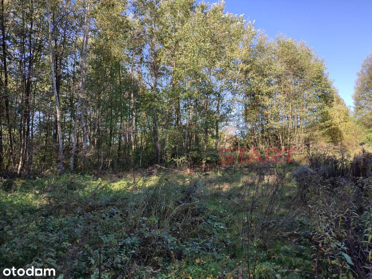 Działka siedliskowa Zboiska ! cena do negocjacji ! - Pełny obrazek: 4/9