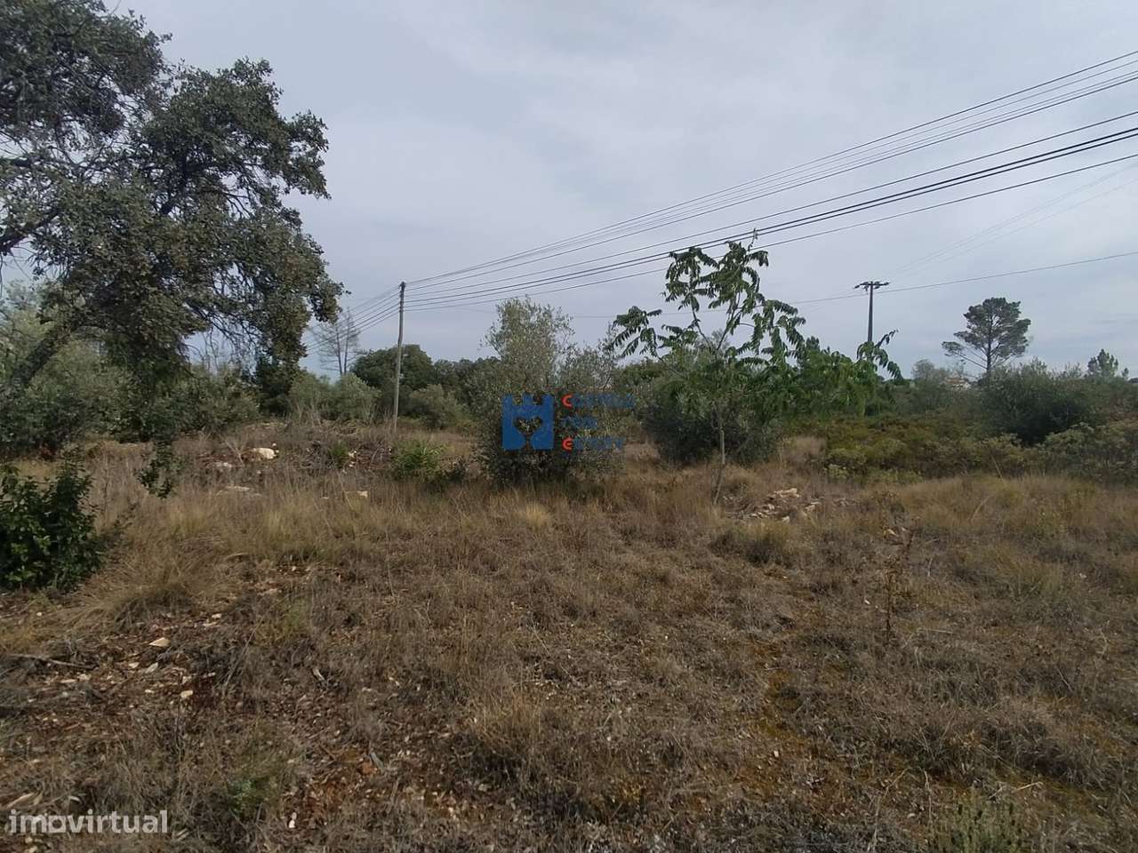Terreno para construção em Fátima no lugar de Aljustrel - Grande imagem: 5/14