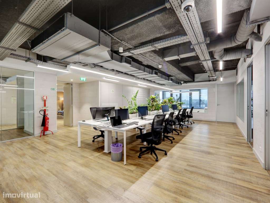 Escritório para arrendamento - Malhoa 19, em Lisboa - Grande imagem: 3/29