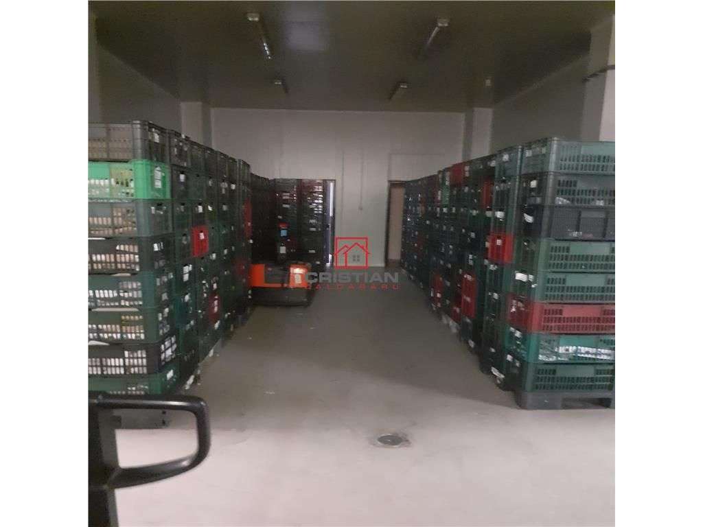 Inchiriere depozit frigospatiu frigorific Militari - Valea Cascadelor, - Imagine principală: 4/5