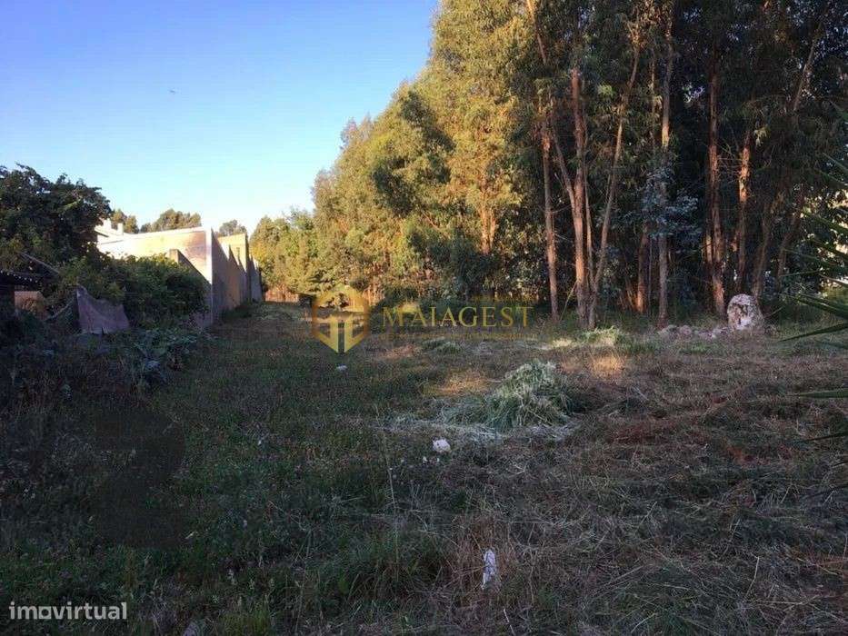 Terreno Urbano para Venda em Fânzeres - Grande imagem: 4/10