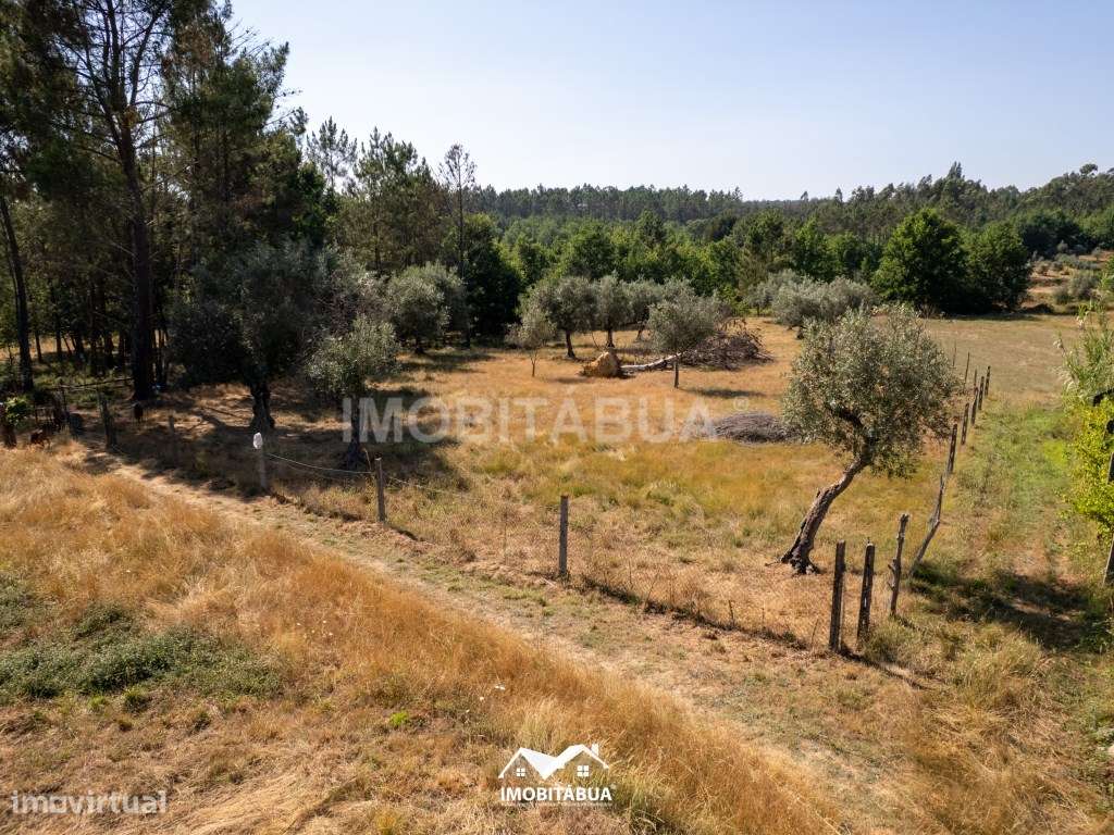 Terreno Rústico com área de 1.850 m2-5