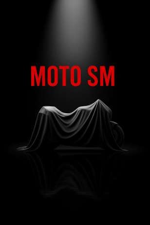 Moto SM Sandro Michta