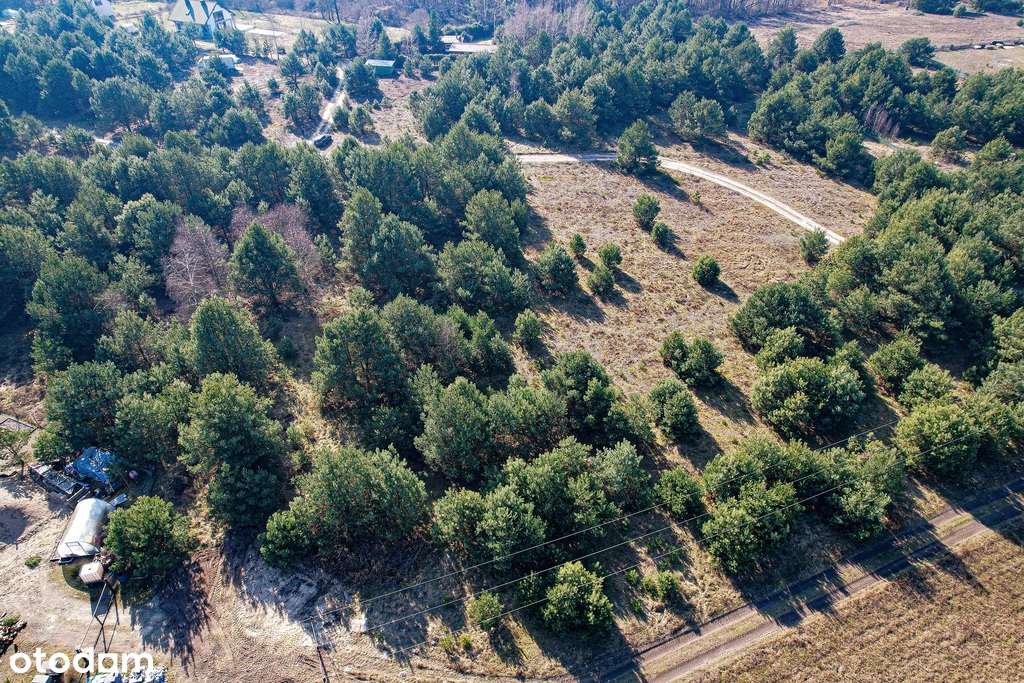 Działka, 1 623 m², Krupocin-4