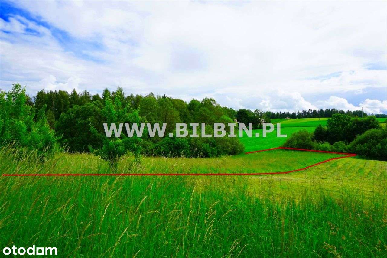 Kup działkę przy jeziorze ! - Pełny obrazek: 5/12