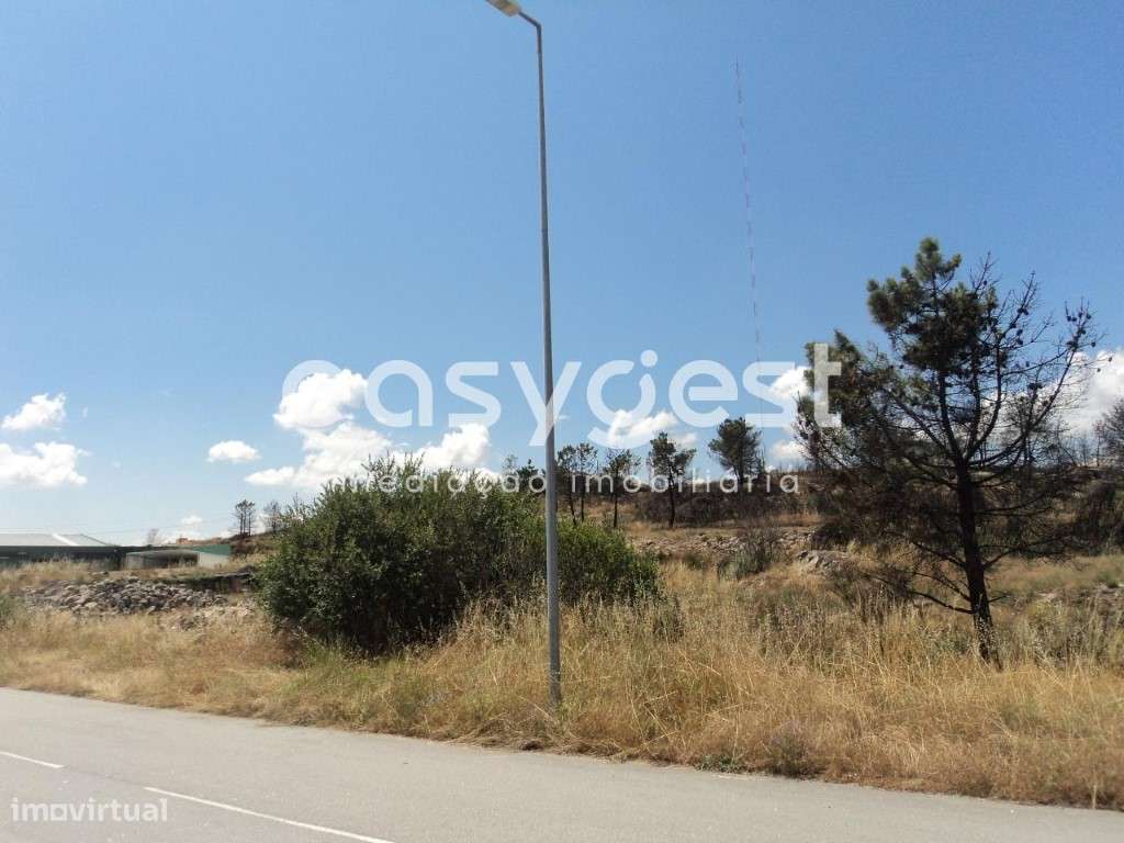 Lote na Zona Industrial de Alijó - Grande imagem: 5/11