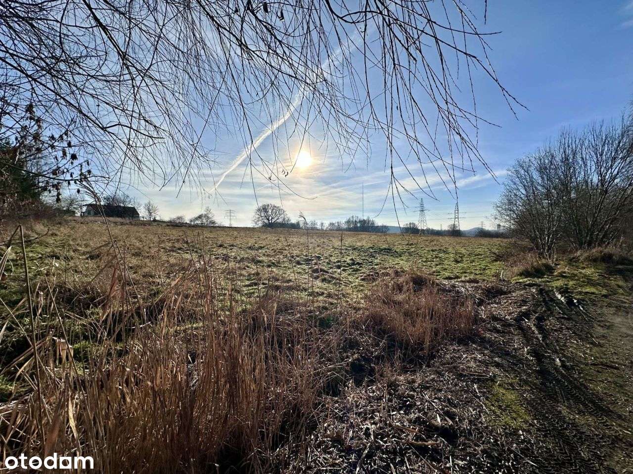 Stara Wesoła, działka 1,4ha - Pełny obrazek: 3/15