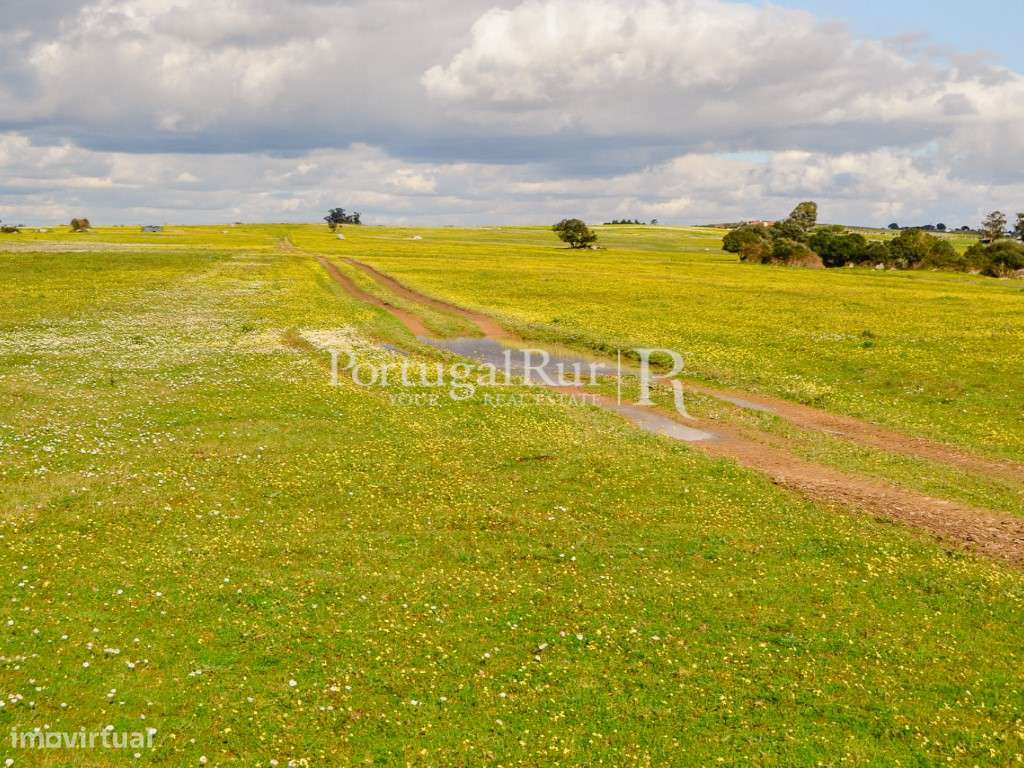Propriedade de 155 ha com barragem privada - Grande imagem: 4/38