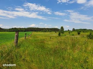 Działka, 1 024 m², Dalny Las