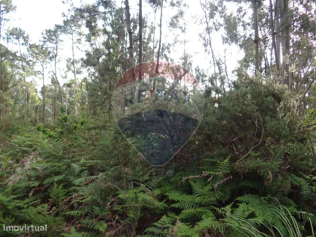 Terreno  para venda - Grande imagem: 4/6