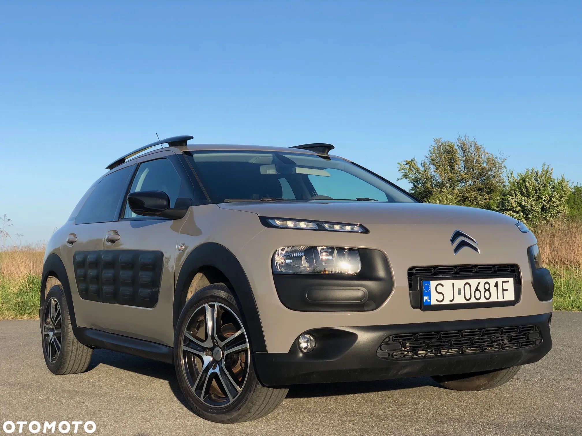 Citroën C4 Cactus BlueHDi 100 Stop&Start Feel - 1