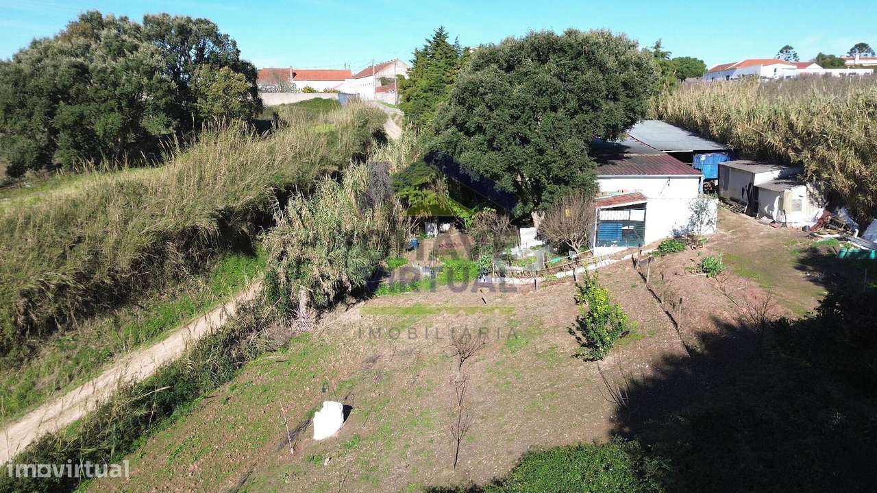 Magnífica Quinta c/ 10.490 m2 Concelho Cadaval-46