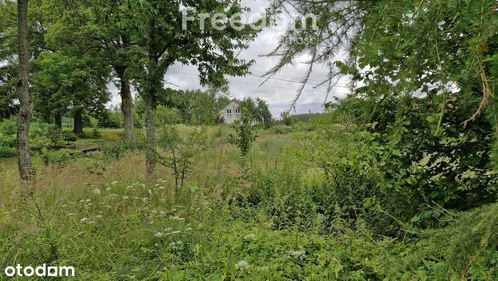 Spokojna działka 3 128 m² wśród lasów - Pełny obrazek: 5/15